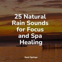 25 Natural Rain Sounds for Focus and Spa Healing