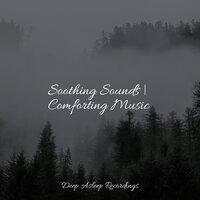 Soothing Sounds | Comforting Music