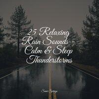 25 Relaxing Rain Sounds - Calm & Sleep Thunderstorms