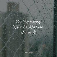 25 Restoring Rain & Nature Sounds