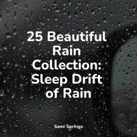 25 Beautiful Rain Collection: Sleep Drift of Rain