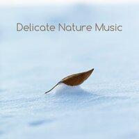 Delicate Nature Music