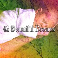 42 Beautiful Dreams