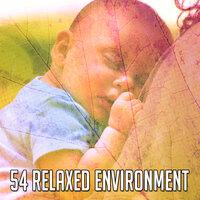 54 Relaxed Environment