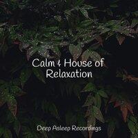 Calm & House of Relaxation