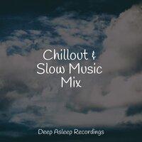Chillout & Slow Music Mix