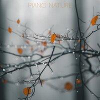 Piano Nature