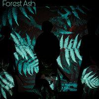 Forest ASH