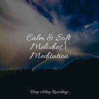 Calm & Soft Melodies | Meditation