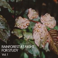 Rainforest at Night for Study Vol. 1