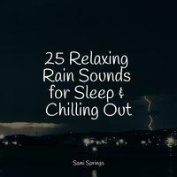 25 Relaxing Rain Sounds for Sleep & Chilling Out