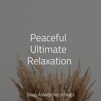 Peaceful Ultimate Relaxation