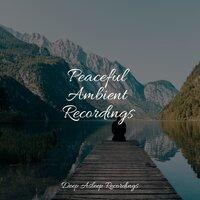 Peaceful Ambient Recordings