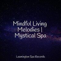 Mindful Living Melodies | Mystical Spa