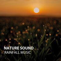 Nature Sound: Rainfall Music