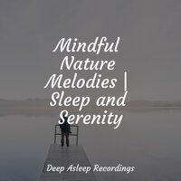 Mindful Nature Melodies | Sleep and Serenity