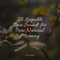 25 Loopable Rain Sounds for Pure Natural Morning