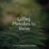Lulling Melodies to Relax