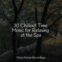 30 Chillout Time Music for Relaxing at the Spa