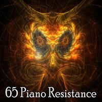 65 Piano Resistance