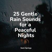 25 Gentle Rain Sounds for a Peaceful Nights