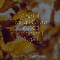 Mindful Living Nature Infused Melodies | Yoga t