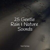 25 Gentle Rain & Nature Sounds