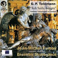 Telemann: "Ach Seele, hungre" (Cantates concertantes et sonates)