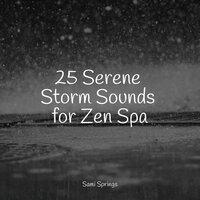25 Serene Storm Sounds for Zen Spa