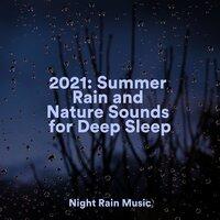 2021: Summer Rain and Nature Sounds for Deep Sleep