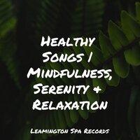 Healthy Songs | Mindfulness, Serenity & Relaxation