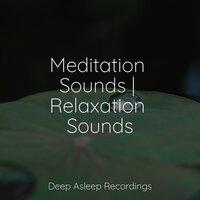 Meditation Sounds | Relaxation Sounds