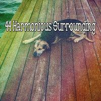 44 Harmonious Surrounding