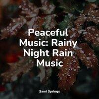 Peaceful Music: Rainy Night Rain Music