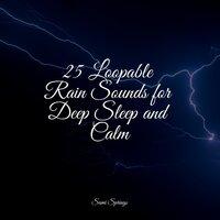 25 Loopable Rain Sounds for Deep Sleep and Calm