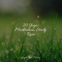 20 Yoga, Meditation, Study Rain