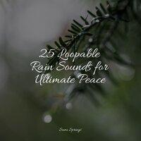 25 Loopable Rain Sounds for Ultimate Peace