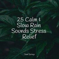 25 Calm & Slow Rain Sounds Stress Relief