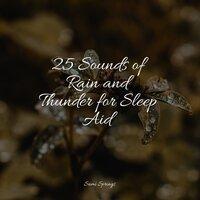 25 Sounds of Rain and Thunder for Sleep Aid