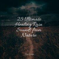 25 Ultimate Healing Rain Sounds from Nature
