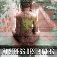 71 Stress Destroyers