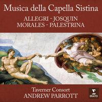 Musica della Capella Sistina: Allegri, Josquin, Palestrina & Morales