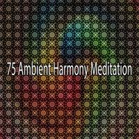 75 Ambient Harmony Meditation