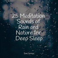 25 Meditation Sounds of Rain and Nature for Deep Sleep