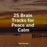 25 Brain Tracks for Peace and Calm