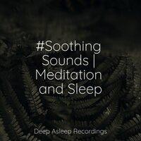 #Soothing Sounds | Meditation and Sleep