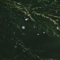 30 Stunning Rainfall Collection for Meditation