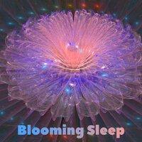 Blooming Sleep
