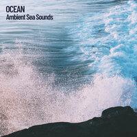 Ocean: Ambient Sea Sounds