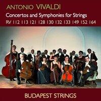 Budapest Strings